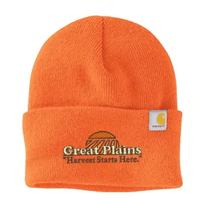 Carhartt® Watch Cap 2.0