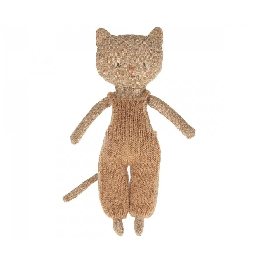 Chatons, Kitten