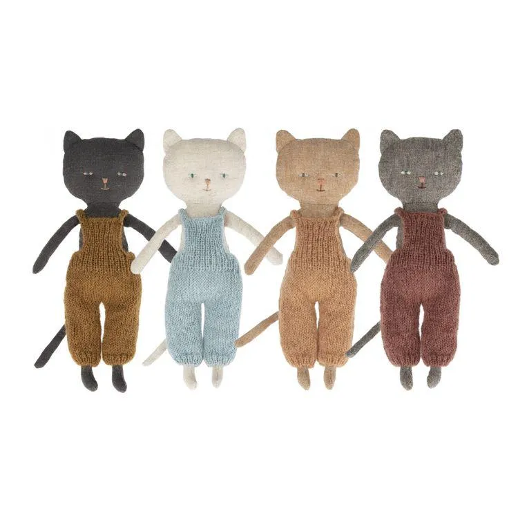 Chatons, Kitten