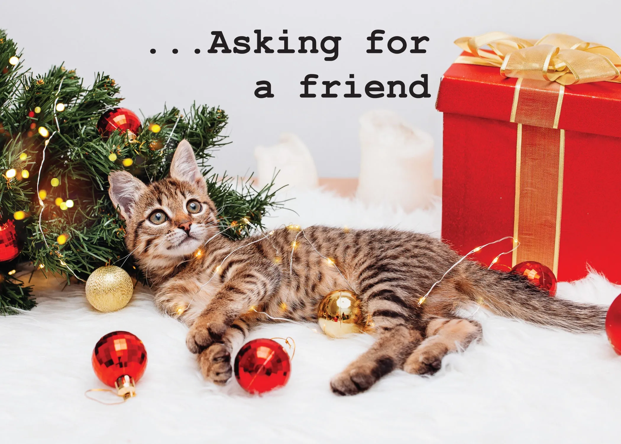 Dear Santa: Define "Good" ...asking for a friend Merry Christmas Card
