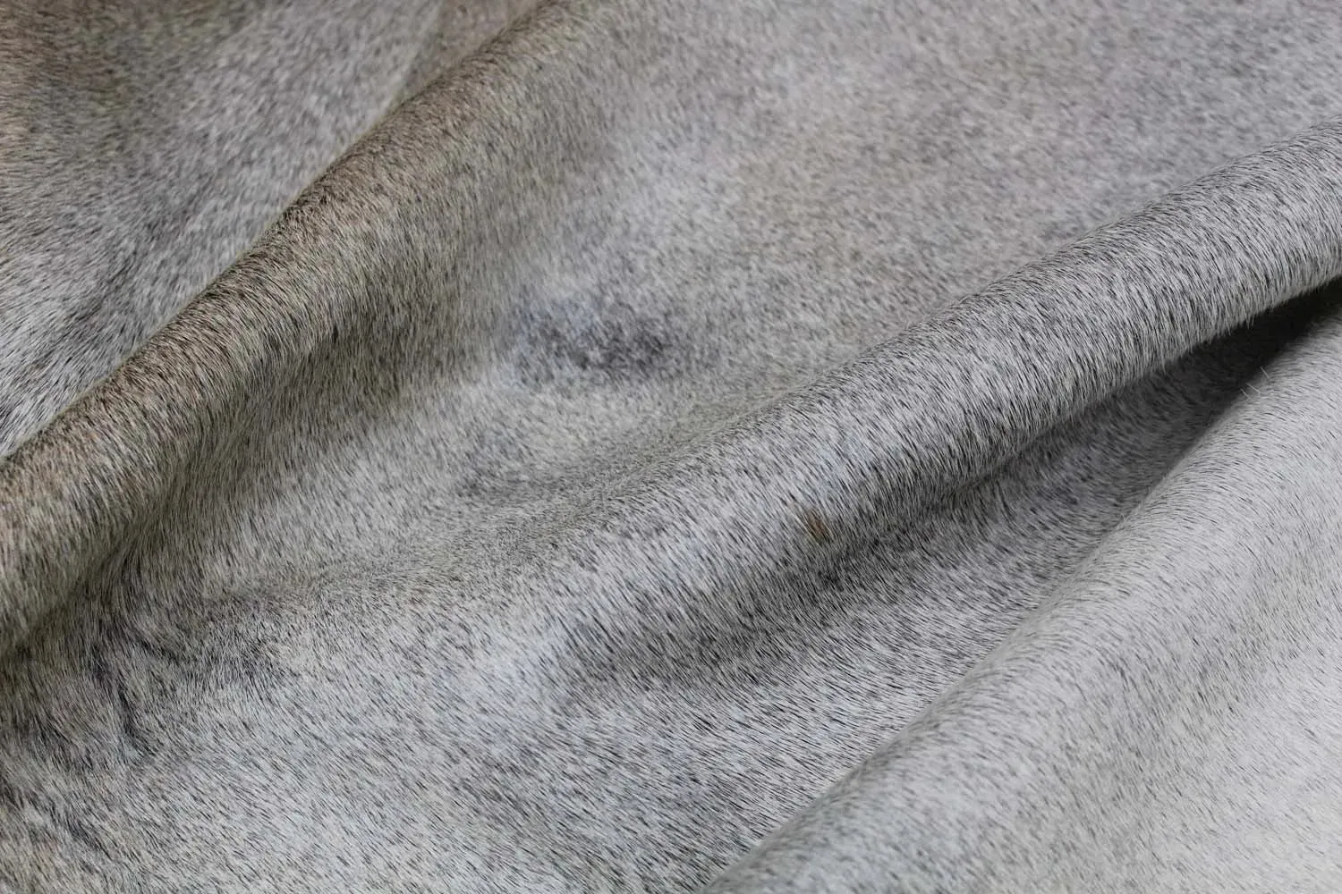 Exotic Grey