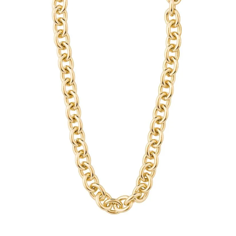 HANNA SCHÖNBERG x PILGRIM Chunky Necklace