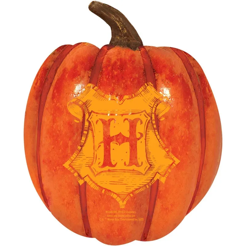 Harry Potter Halloween Foam Pumpkin Prop