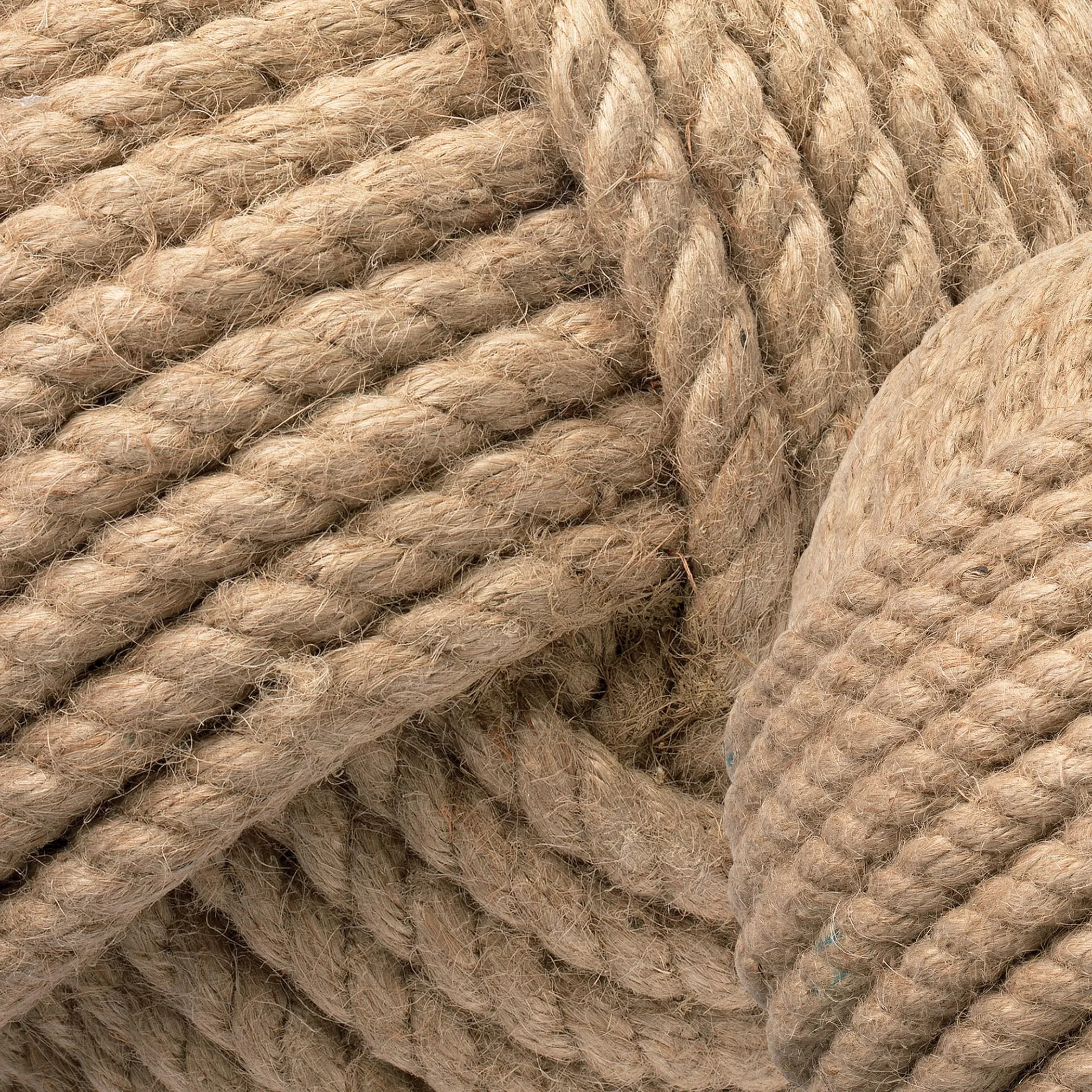 JUTE