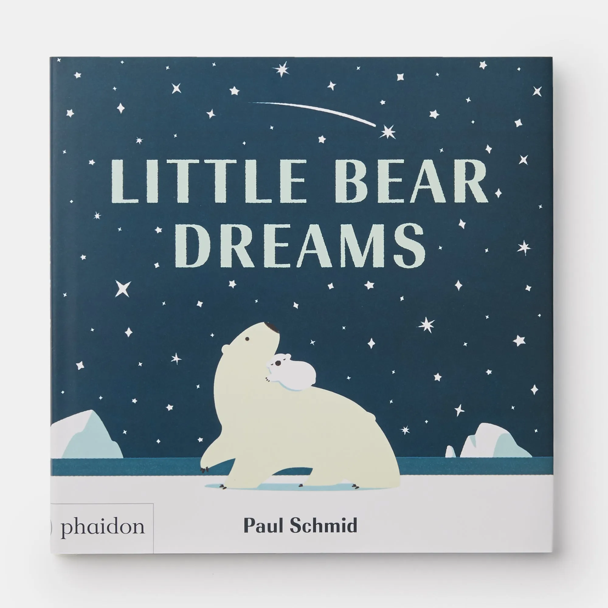 Little Bear Dreams