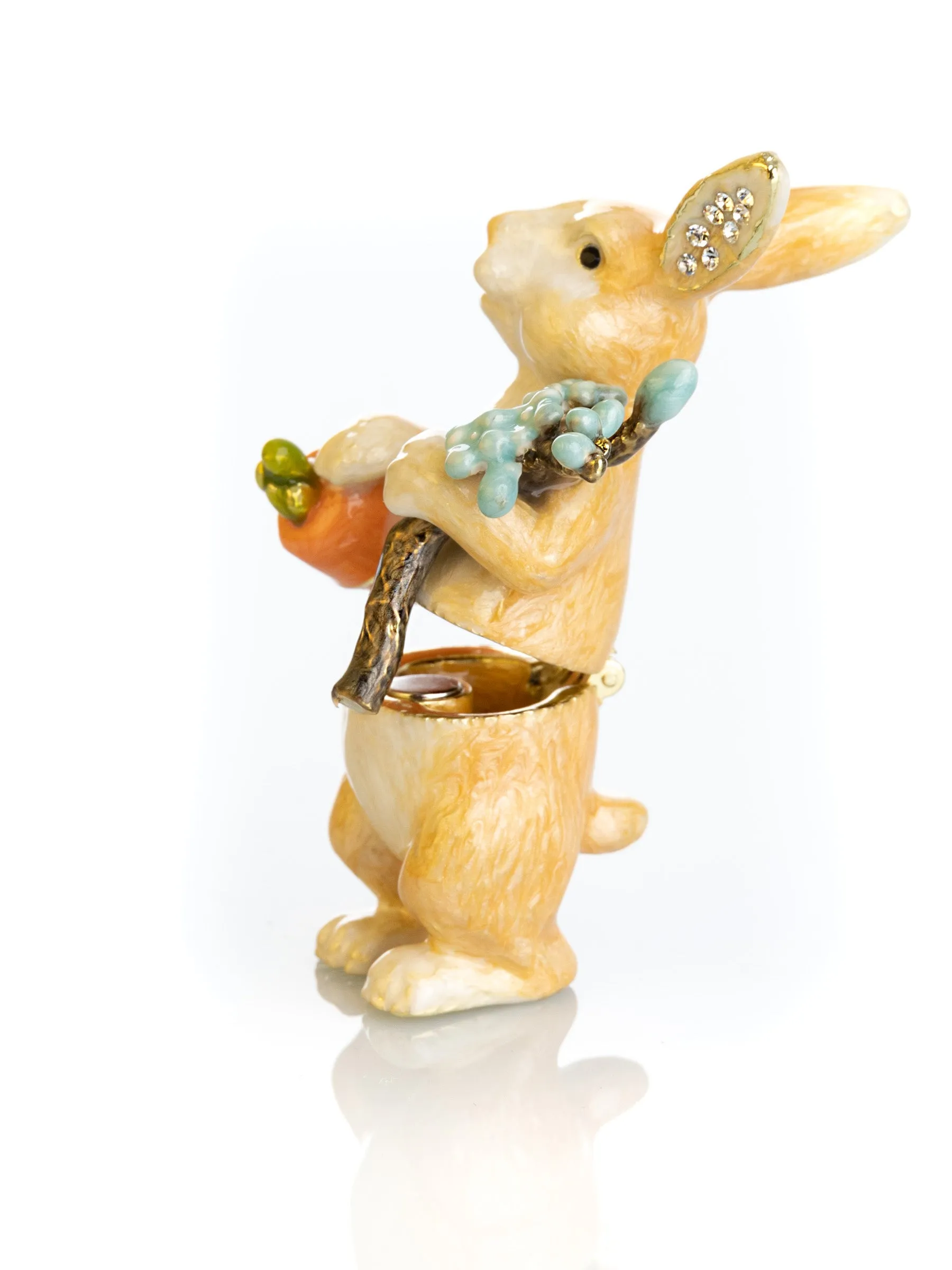 Rabbit with carrot