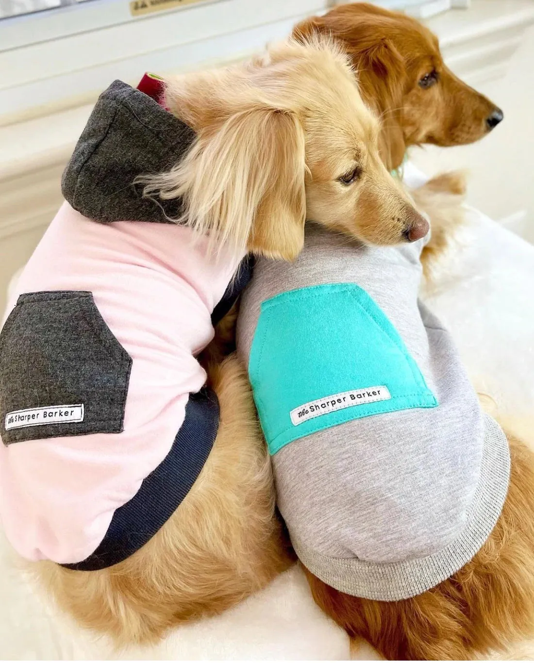 The Sharper Barker - Sleeveless Fleece Hoodie - Various Colours