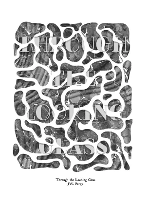 Through the Looking Glass   PDF