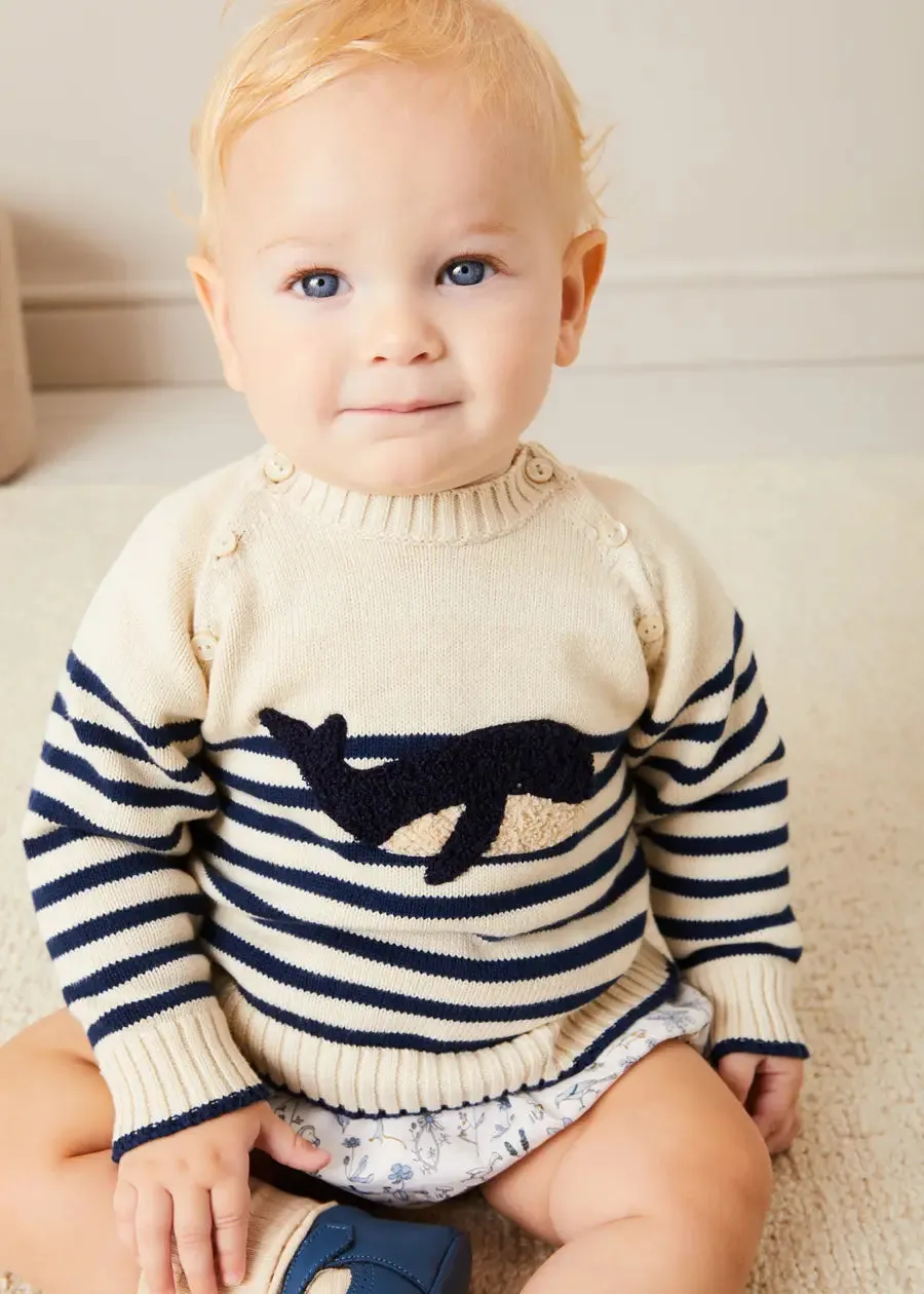 Whale Intarsia Striped Jumper in Blue (12mths-6yrs)